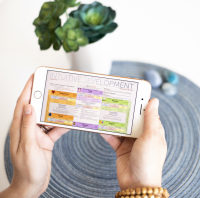 mobile blueprint example for partner download
